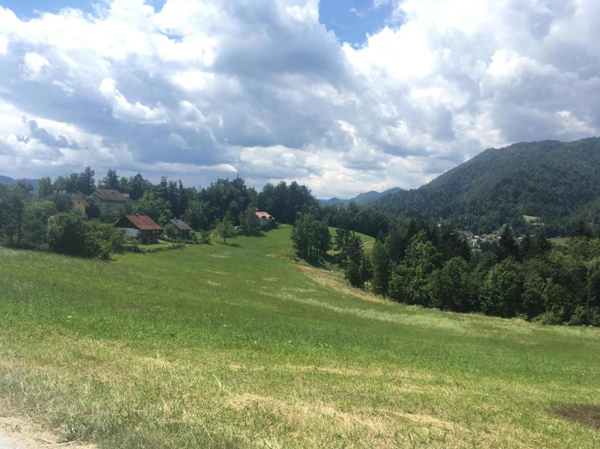 B&B Cerne Polhov Gradec Екстериор снимка