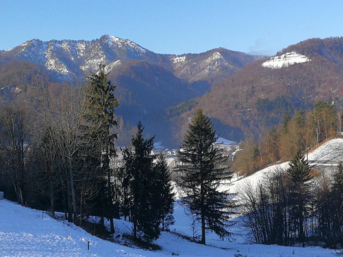 B&B Cerne Polhov Gradec Екстериор снимка