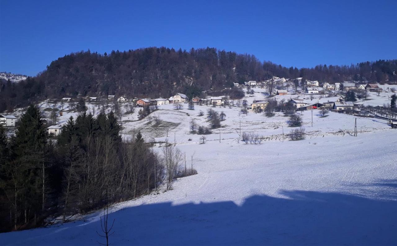 B&B Cerne Polhov Gradec Екстериор снимка